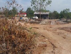 Monster oranye di tanah sunghin amuk Tambang Ilegal Skala Besar dan Jurus Cuci Tangan Sang Cukong