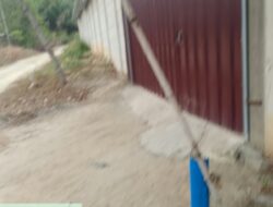 TERBONGKAR! GUDANG SILUMAN DI TANJUNG GUNUNG DI DUG A TEMPAT CETAK TIMAH BALOK, BERKEDOK PETERNAKAN BABI, DIDUGA MILIK OKNUM BRIMOB, WARGA TAKUT BERSUARA