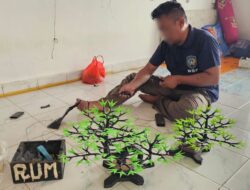 Warga Binaan Lapas Pangkalpinang Sulap Kantong Plastik Bekas dan Spunbond Jadi Bonsai